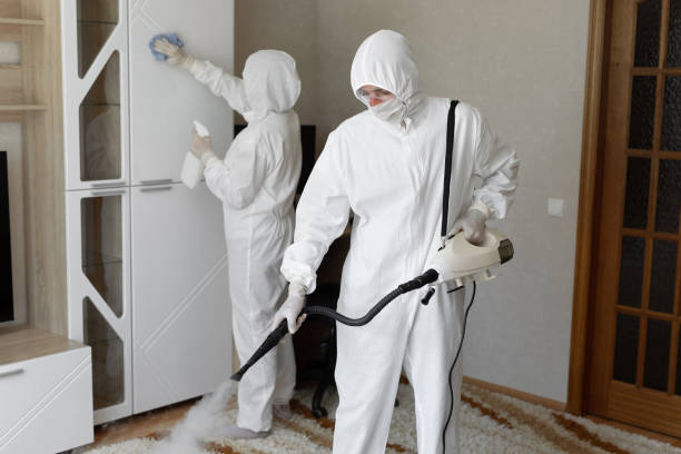 Best Professional Mold Removal  in Meggett, SC